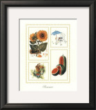 Summer Prints by Santa 