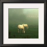 White Horses Field I Prints by Rick Schimidt