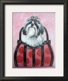 Shih-tzu Purse Posters by Carol Dillon