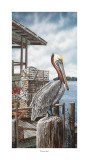 Pelican Key Posters by James Harris