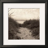 Dune Path Posters by Christine Triebert Dune Path Posters by Christine Triebert