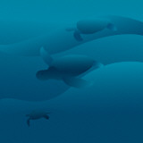 Sea Turtles II Poster van Laurent Mansier