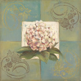 Hydrangeas on Green II Prints by Patricia Quintero-Pinto