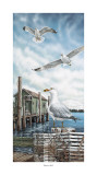 Seagull Key Prints by James Harris