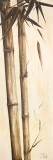 Sepia Guadua Bamboo I Láminas por Patricia Quintero-Pinto Sepia Guadua Bamboo I Láminas por Patricia Quintero-Pinto
