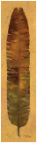 Banana Leaf III Prints by Patricia Quintero-Pinto