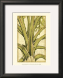 Graphic Palms III Prints by Jennifer Goldberger Graphic Palms III Prints by Jennifer Goldberger