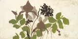 Spring Shadows I Prints by Patricia Quintero-Pinto