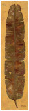 Banana Leaf I Prints by Patricia Quintero-Pinto