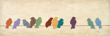 Birds Meeting Poster van Patricia Quintero-Pinto Birds Meeting Poster van Patricia Quintero-Pinto