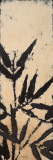 Bamboo Silhouette I Posters by Lanie Loreth
