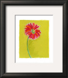 Daisy Poster by Susan Zulauf