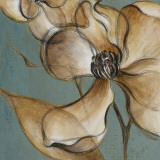 Translucent Magnolias Kunstdrucke von Lanie Loreth