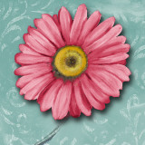 Blooming Daisy IV Prints by Nelly Arenas