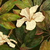 Hibiscus Leaves II Láminas por Patricia Quintero-Pinto