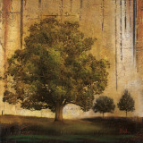 Aged Tree II Posters by Patricia Quintero-Pinto