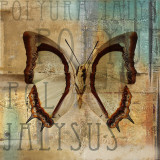 Polyurabutterfly II Prints by Patricia Quintero-Pinto
