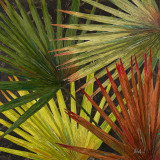 New Organic I Arte por Patricia Quintero-Pinto New Organic I Arte por Patricia Quintero-Pinto