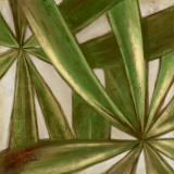 Abanico III Lámina por Patricia Quintero-Pinto