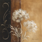 Delicate Beauty I Prints by Lanie Loreth