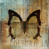 Polyurabutterfly I Art by Patricia Quintero-Pinto