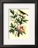 Bird in Nature III Prints by E. Guerin