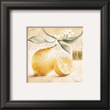Limone Prints by Claudia Ancilotti
