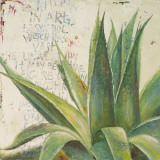 Aloe I Prints by Patricia Quintero-Pinto
