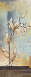 White Lilies II Posters par Patricia Quintero-Pinto