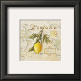 Tuscan Lemon Print by Angela Staehling