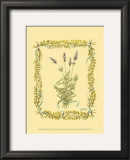 Lavender Posters by Wendy Russell