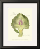 Globe Artichoke Art by Elissa Della-piana