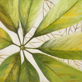Fresh Leaves II Prints by Patricia Quintero-Pinto
