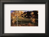 Success: Golf II Prints