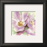 Wild Violet Roses Prints by Arkadiusz Warminski