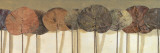Leaves Show II Posters by Patricia Quintero-Pinto