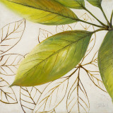 Fresh Leaves I Posters by Patricia Quintero-Pinto
