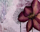 Pressed Flowers I Affiches par Patricia Quintero-Pinto