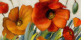 Poppy Splendor II Prints by Lanie Loreth