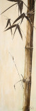Sepia Guadua Bamboo II Póster por Patricia Quintero-Pinto