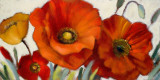 Poppy Splendor I Posters by Lanie Loreth