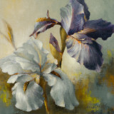 Irises After the Rain Prints by Lanie Loreth