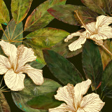 Hibiscus Leaves I Poster by Patricia Quintero-Pinto