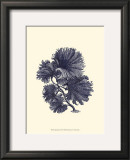 Indigo Kelp I Art