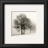Winter Grove Print by Ilona Wellmann