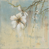 Fleurs de cerisier I Poster par Patricia Quintero-Pinto