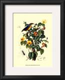 Bird in Nature II Prints by E. Guerin