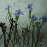Blue Irises I Posters par Patricia Quintero-Pinto