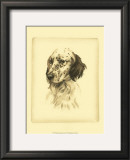 Danchin Setter Art by Danchin Danchin Setter Art by Danchin