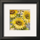 Magnificent Suns Prints by Louissimo 